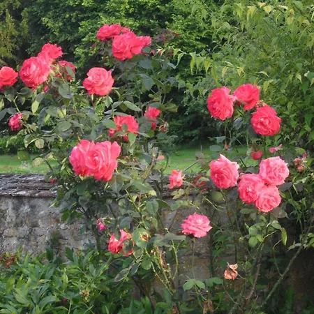 Charmante Maison Xviie Siecle Avec Jardin En Normandie - Fr-1-497-32 Летний дом Vrigny (Orne)
