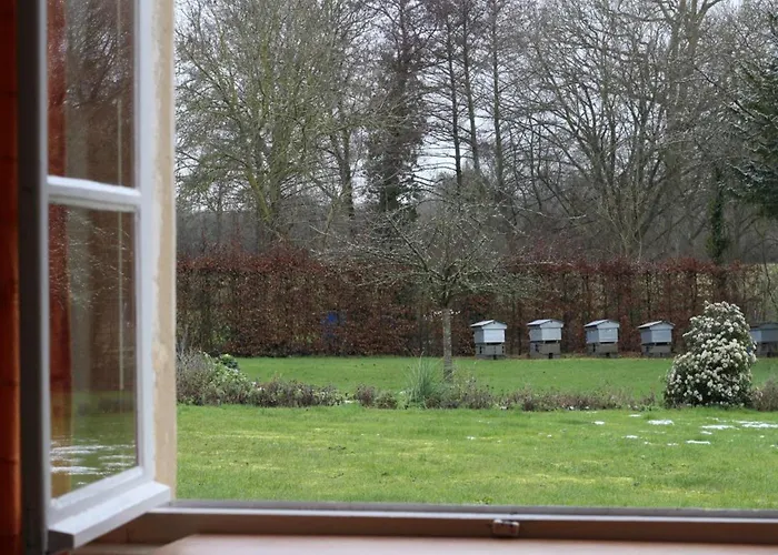 Charmante Maison Xviie Siecle Avec Jardin En Normandie - Fr-1-497-32 別荘 Vrigny (Orne)