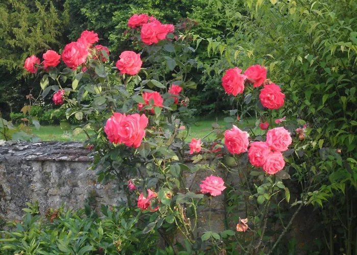 Charmante Maison Xviie Siecle Avec Jardin En Normandie - Fr-1-497-32 別荘 Vrigny (Orne)